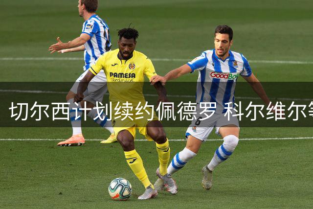 切尔西计划续约佩德罗 科尔维尔等核心球员将获新合同