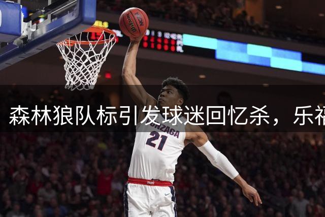 森林狼队标引发球迷回忆杀，乐福与加内特谁更强引发热议