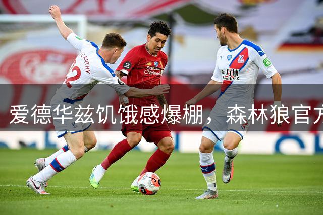 爱德华兹饥饿感爆棚，森林狼官方盛赞其狼性表现